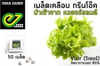 เมล็ดพันธุ์ ผักสลัด กรีนโอ๊ค (แบบเคลือบ) นำเข้าจากเนเธอร์แลนด์ อัตราการงอก 85%