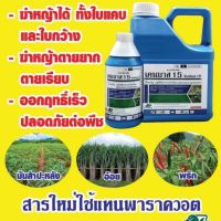 ?เคนบาส15 กลูโฟซิเนต-แอมโมเนียม (glufosinate-ammonium) ยากำจัดวัชพืชแบบเผาไหม้ ใช้แทนพาราควลตไดคลอไรต์ กรัมม็อกโซน ขนาด4ลิตร