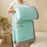 2022 Summer New Thermal Blanket Cotton Air Conditioner Quilt Polyester Fiber Japanese Skin-friendly and Comfortable Family Hotel