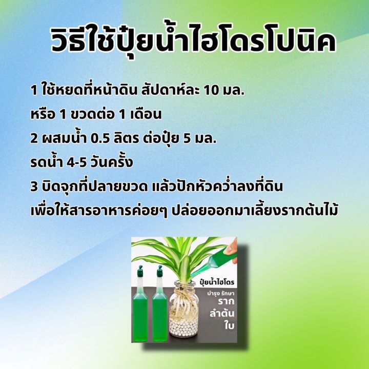 ปุ๋ยน้ำ-ไฮโดรโปนิกส์-บำรุงราก-ลำต้น-ใบ-มีสารอาหารที่ต้นไม้ต้องการ-ฟื้นฟูต้นไม้ได้