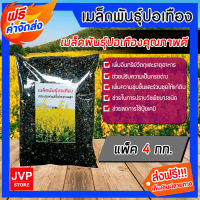 **ส่งฟรี** เมล็ดพันธุ์ปอเทือง แพ็ค 4 กิโลกรัม ดอกปอเทือง พืชบำรุงดิน ดอกเหลือง ให้ปุ๋ยอินทรีย์ เมล็ดปอเทือง ปอเทือง  เมล็ดพันธุ์คุณภาพดี