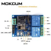 บอร์ดโมดูลรีเลย์ Wifi ระบบอัตโนมัติ12V Esp8266 Iot ควบคุมการรีโมทแอป2ช่องสำหรับบ้านโทรศัพท์มือถืองานศิลปะโมดูล Wi-Fi คู่