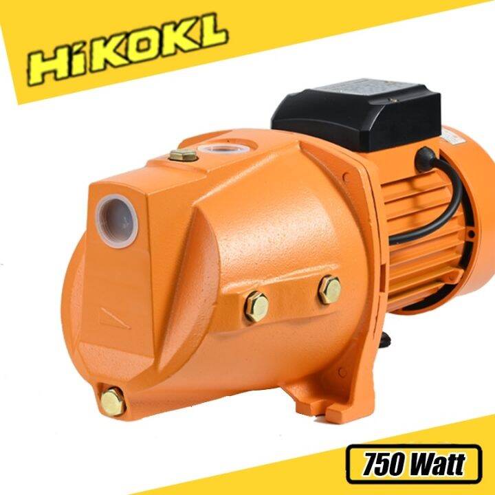 Hikokl 1.5HP 750w Heavy Duty Electric Water Pump Peripheral Booster