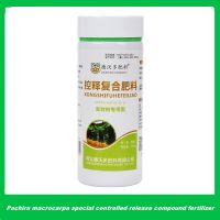 250G Pachira Macrocarpa Special Controlled Release Compound Fertilizer Indoor Green Plant General-Purpose Granular Fertilizer