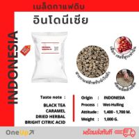 สารกาแฟ เมล็ดกาแฟดิบอินโดนีเชีย INDONESIA Treggliling Green Coffee Beans [พร้อมส่ง] 0 กก.