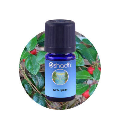 Oshadhi Wintergreen Essential Oil น้ำมันหอมระเหย (10 ml)