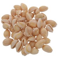 T550pcs Shell Beads for Women jewelry Bracelet Necklace Earr