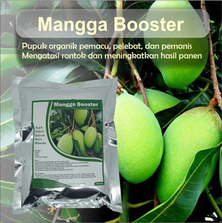 Pupuk Booster Mangga Organik Agar Cepat Berbuah Lebat Perangsang Buah ...