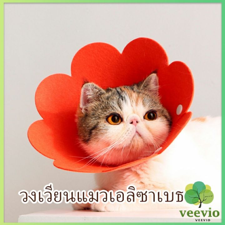 veevio-คอลล่าแมว-ปลอกคอดอกไม้-ปลอกคอกันเลีย-คอลล่าสุนัข-cat-coll