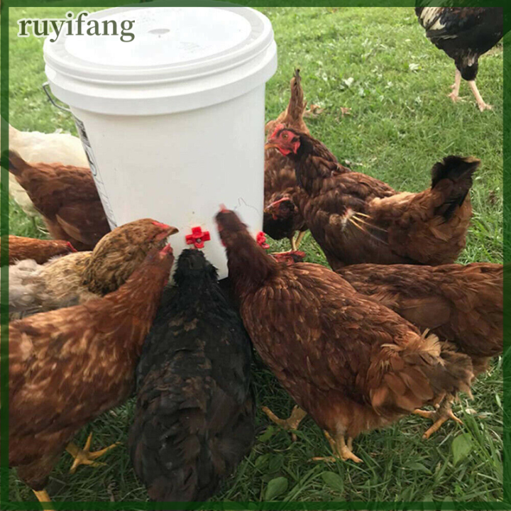 ruyifang-water-drinking-chicken-waterer-นักดื่มสัตว์ปีกอัตโนมัติเครื่องมือนักดื่มฟาร์ม