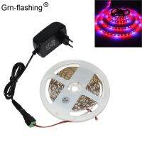 【☑Fast Delivery☑】 na07037036036666 อะแดปเตอร์2a Spectrum12v เต็มรูปแบบไฟพืชเติบโตแถบ Led Dc12v Lampu Grow Led สำหรับเรือนกระจกสำหรับพืชที่ปลูกโดยไม่ใช้ดิน