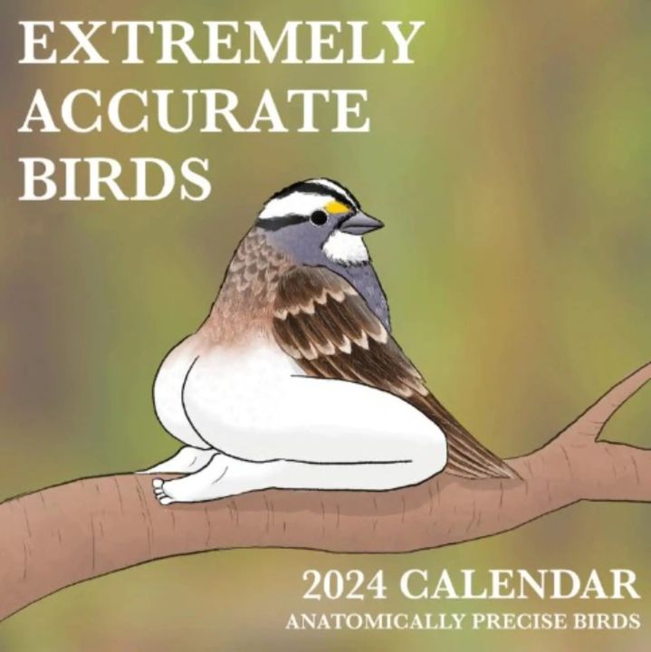 Dfcd 2024 Calendar Of Extremely Accurate Birds Funny Long Legs Birds   B4a89fa5cf81e8139ae112c26cfaa09d  720x720q80 