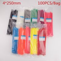 High Quality 100PCS/L 4X250MM Self-Locking Colorful Factory Standard Self-locking Plastic Nylon Cable TiesWire Zip Tie