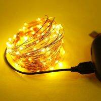 2/3/5/10M 5V USB Powered LED String Holiday Light Copper Wire Waterproof Christmas Garland Decorations