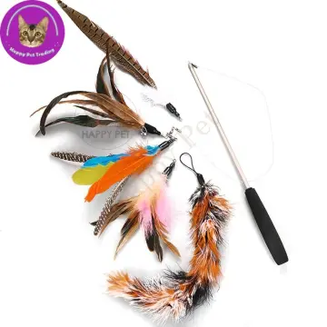 Shop Cat Toy Fishing Rod Feather online - Jan 2024