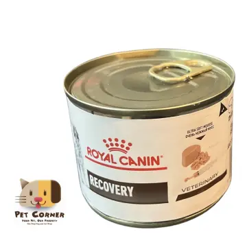Shop Recovery Royal Canin For Kitten with great discounts and prices online  - Jan 2024