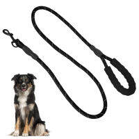 สายจูงสัตว์เลี้ยงไนล่อน Heavy Duty Pet Leash สายจูงสัตว์เลี้ยงน้ำหนักเบาสีสวยพร้อมหัวเข็มขัดสำหรับเดิน