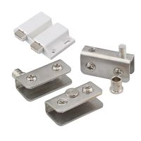 Stainless Steel Pivot Hinge Double Head Magnetic Catch Set for 5-8Mm Glass Door