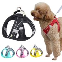 Summer Mesh Harness Vest and Leash Set for Small Dogs Adjustable Puppy Cat Harness Outdoor Dog Walking Chest Strap Pets Supplies
