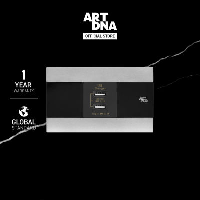 ART DNA รุ่น A88 ชุดเต้ารับสัญญาณดับเบิ้ล ยูเอสบี สีเงิน ไซส์ M ปลั๊กไฟโมเดิร์น ปลั๊กไฟสวยๆ สวิทซ์ สวยๆ switch design