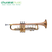 Trumpet Custom TR-445 Gold Lacquer Rose brass Bell ทรัมเป็ต by Churairat Music