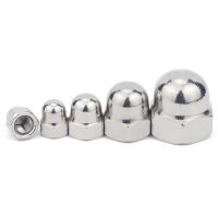 20pcs 304 Stainless Steel Acorn Cap Nut Decorative Cap Nuts Hex Head Cap M3 M4 M5 M6 M8 M10 M12 M14 M16 M18 M20