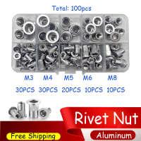 อลูมิเนียมหัวแบน Rivet Nuts ชุด M3 M4 M5 M6 M8 Rivet Nuts แทรก Rivets ผสมขนาดพรีเมี่ยมอัตโนมัติ Rivet ชุดเครื่องมือ