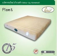 SHOP NBL ที่นอนยางพารา HOME MATT 3.5 /5/6 ฟุต // MODEL : PLANT ดีไซน์สวยหรู สไตล์เกาหลี ยางพารา หุ้มผ้าเวอลัว คุณภาพสูง สินค้าขายดีมาก หนา 10 นิ้ว