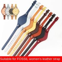 ┅ Fossil สายนาฬิกาหนังวัวแท้หญิง 8 มม. สำหรับผู้หญิง Es3262 Es3060 กันน้ำสายนาฬิกา