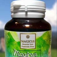 Magicus Bond มาจิกคัสบอนด์ "เซซมิน" ในน้ำมันงาดำ สกัดเย็น เพื่อกระดูกบาง พรุน กระดูกเสื่อม ปัญหาเรื่องผม นอนหลับยาก