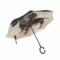 Longing Dachshund Dog Print Reverse Umbrella Male Double Deck Inverted Windproof Rain Umbrella C Hand Holder Stand Umbrella