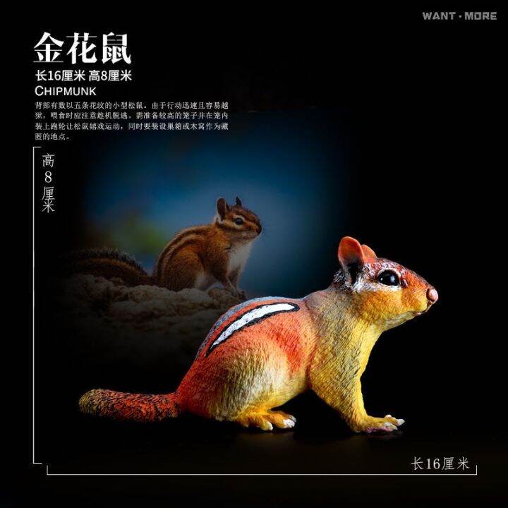 simulation-model-of-mice-hamster-wildlife-toy-chipmunks-chipmunk-marmot-early-childhood-cognitive-3-10-years-old