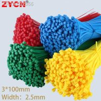 ﹍ 100Pcs Color 2.5mmx100 Self-Locking Cable Ties Nylon Wire Zip White Black Organiser Fastening Ring Plastic Flange Binding Straps