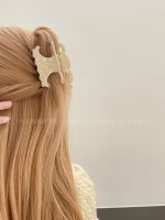 Correct Version TiTi high definition new! Lisa three-dimensional CEL plate hair clip hair catch