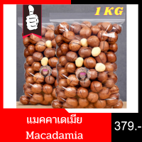 แมคคาเดเมีย Macadamia ราชาแห่งถั่ว ดอยแม่สลอง ธัญพืชเพื่อสุขภาพ ขนาดบรรจุ 1 kg ถุง พรีเมียม