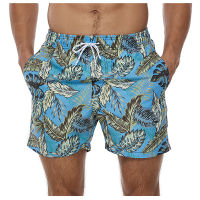 2022 New Summer Beach Mens Shorts Printing Casual Quick Dry Board Shorts Bermuda Mens Short Pants M-4XL 6 Colors