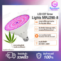 LED E27 Grow Lights MRJ290-8 ไฟปลูกต้นไม้ หแล่งกำเนิดแสง LED คุณภาพสูง อายุการใช้งานยาวนานถึง 50,000 ชั่วโมง พื้นที่ส่องสว่างของหลอดไฟจะเปลี่ยนไปตามพืชและสภาพแวดล้อมที่แตกต่างกัน รวมถึงพารามิเตอร์ทางเทคนิคก็จะเปลี่ยนไปด้วย