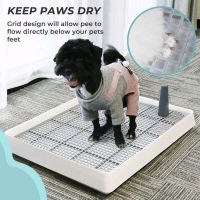 【WNING small pet】ห้องน้ำฝึกสุนัขแบบพกพาในร่ม Poppy Potty Toilet สำหรับสุนัขขนาดเล็กแมว Litter Box Puppy Pad Holder Tray Pet Supplies