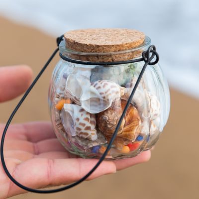（READYSTOCK ）🚀 Shell Small Conch Coral Small Conch Set Bulk Glass Small Bottle Decoration Fish Tank Landscape Small Gift Cloth Scenery YY