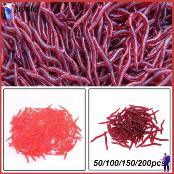 earthworms live - Buy earthworms live at Best Price in Malaysia