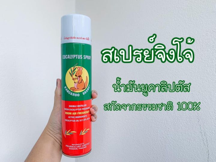 แพ็กคู่-จิงโจ้-สเปรย์น้ำมันยูคาลิปตัสขนาด300ml-แพ็กคู่แถมฟรี-ยูคาคลีน-เซอร์เฟส