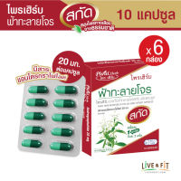 PHRAI HERB ไพรเฮิร์บ ยาแก้ไข้ฟ้าทะลายโจรสกัด ชนิดแคปซูล ขนาด 10 แคปซูล x 6 กล่อง