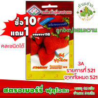 (ซื้อ10แถม1) เมล็ดพันธุ์ สตรอเบอร์รี่ Strawberry ประมาณ 5เมล็ด 3A สามเอ ผักสวนครัว เมล็ดพันธุ์พืช เมล็ดผัก เม็ดผัก พืชผัก