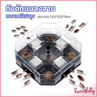 Sweet Belly    ที่ดักแมลงสาบ ที่ดักแมลงสาบ กล่องดักแมลงสาบ  cockroach trap