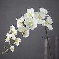 【LZ】◑  11 cabeças de seda orquídea phalaenopsis flores diy buquê floral do casamento plantas artificiais falsas flores decoração para casa 110cm