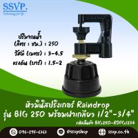 มินิสปริงเกอร์ รุ่น BIG พร้อมฝาครอบเกลียวใน ขนาด 1/2"-3/4"  ปริมาณน้ำ 250 ลิตร/ชั่วโมง รัศมีการกระจายน้ำ 3-4.5 เมตร รหัสสินค้า BIG-250-RDPG1234