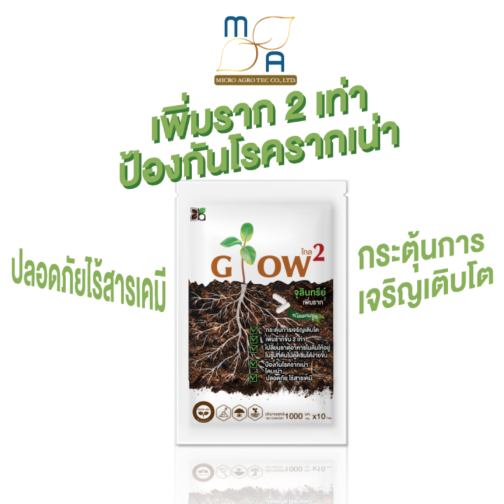 โกล2-จุลินทรีย์เพิ่มราก-ดูดซับธาตุอาหารในดิน-กระตุ้นการเจริญเติบโตพืช-ชนิดแคปซูล-ป้องกันโรครากเน่า-เพิ่มราก2เท่า