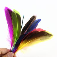Pheasant Feathers for Crafts 10 15cm 4 6 quot; Natural Feathers for Clothes Wedding Rooster Feather Decor Feathers Diy Decoration