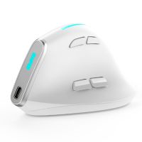 ZELOTES F36 Wireless Vertical RGB Gaming Optical Mouse for Computer Gaming Office B