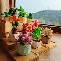 12ชิ้นลึกลับตาบอดกล่องของเล่นอาคารบล็อกดอกไม้ Succulents พืช DIY อิฐของขวัญวันวาเลนไทน์วันเกิดของเล่นสำหรับหนุ่มๆสาวๆ